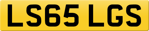 LS65LGS